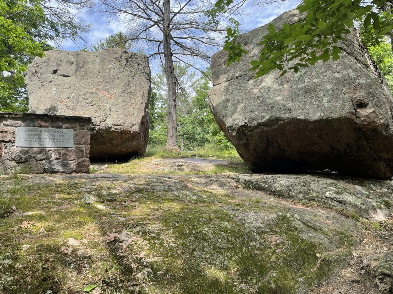 Two large rocks a few feet away from each other with tree in the middle in the distance