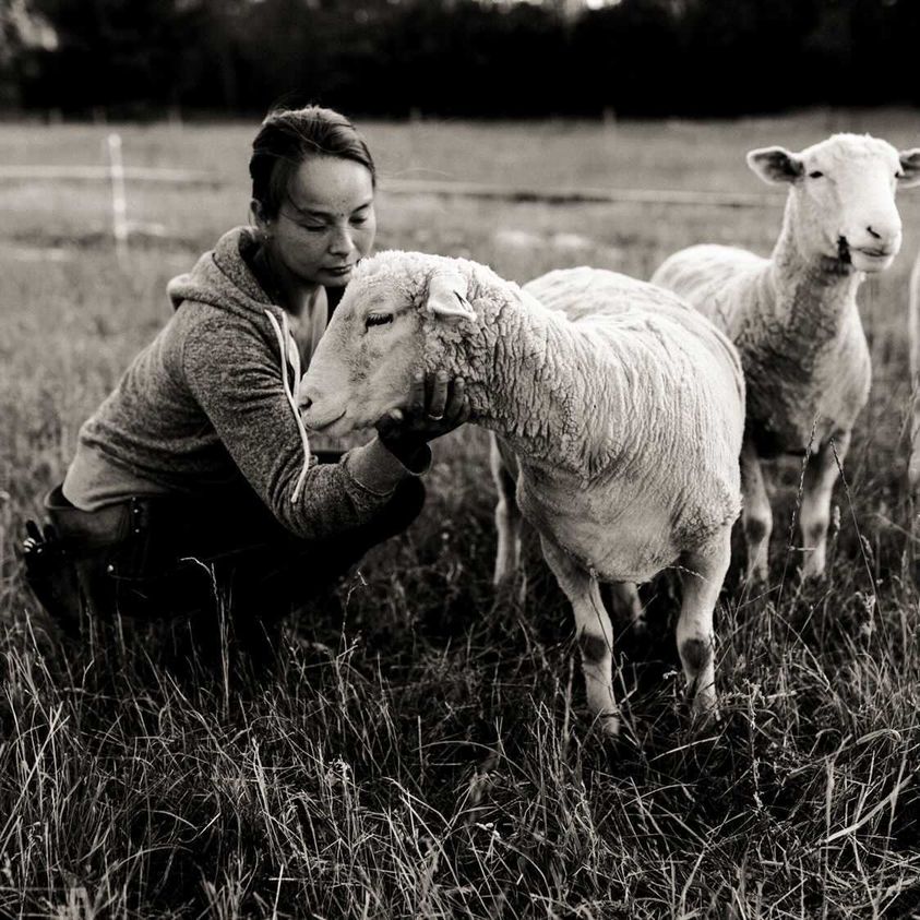 Black and white photo with woman bend down petting sheep