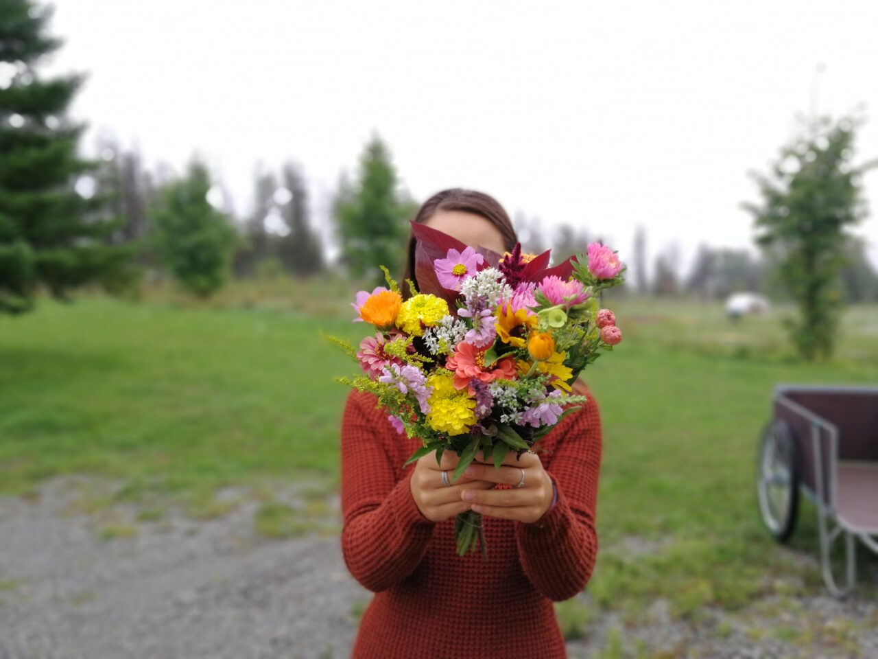 Person in red sweater holding a bouquet of flowers in front of their face. Green grass in background