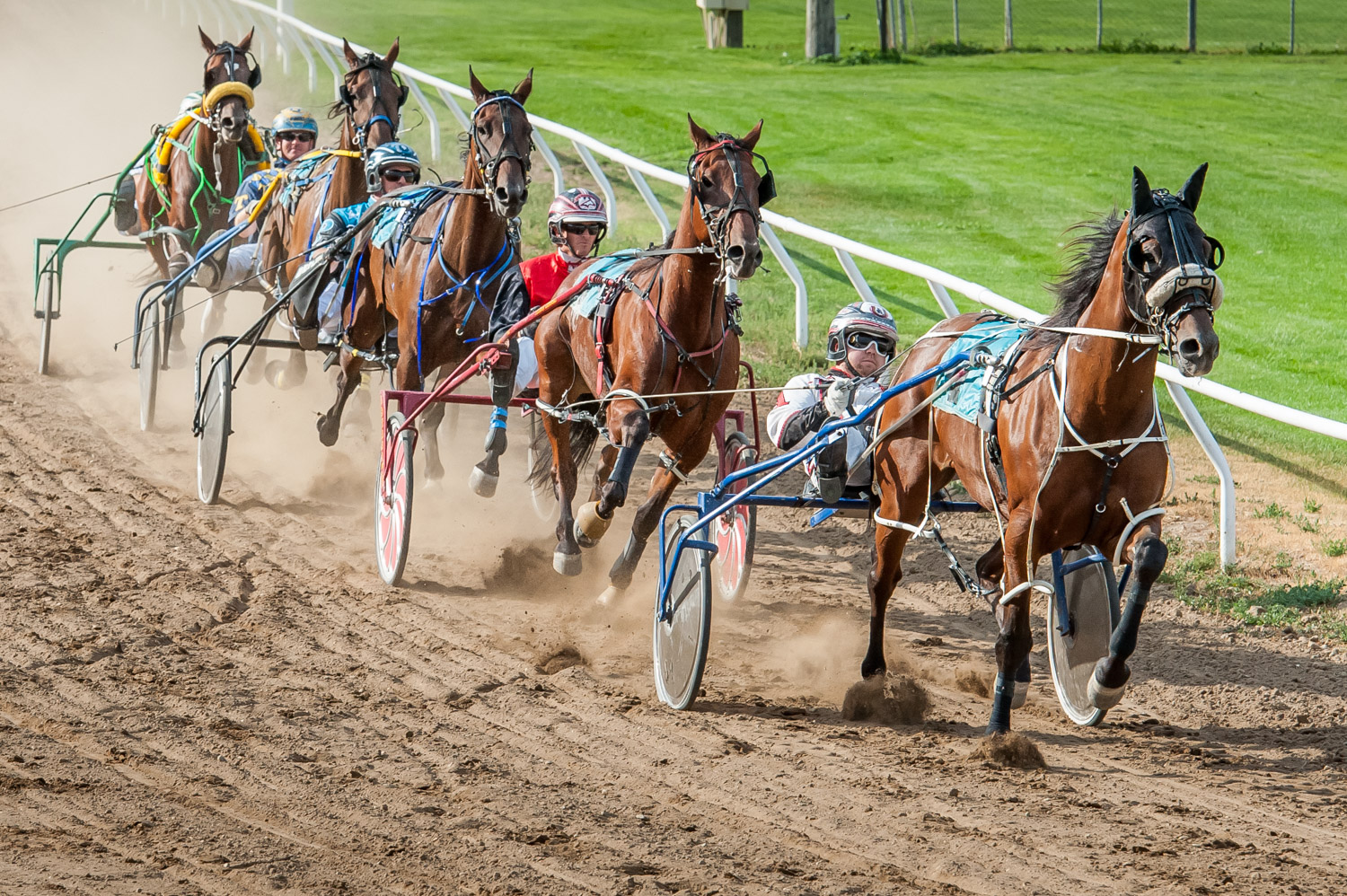 standardbred horse racing