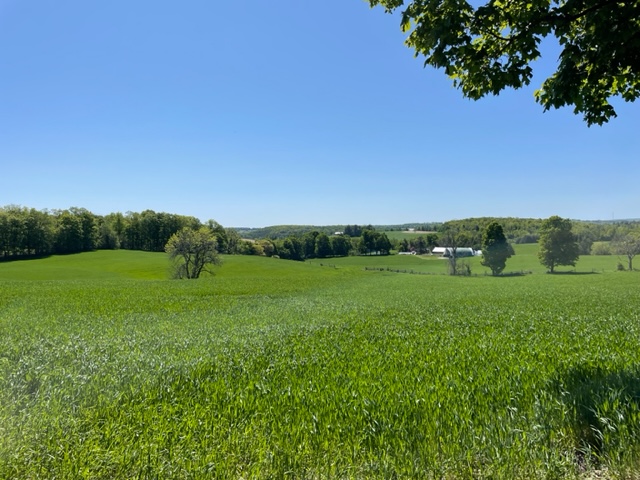 Green rolling hills and blue skys, view fron Sweet Hills Farm Bunkie