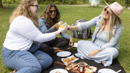 Friends sitting on a picnic blanket "cheersing" with beverages