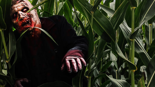 zombie in a corn field