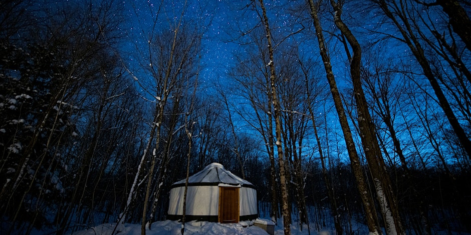 starry night sky in the woods with a tent