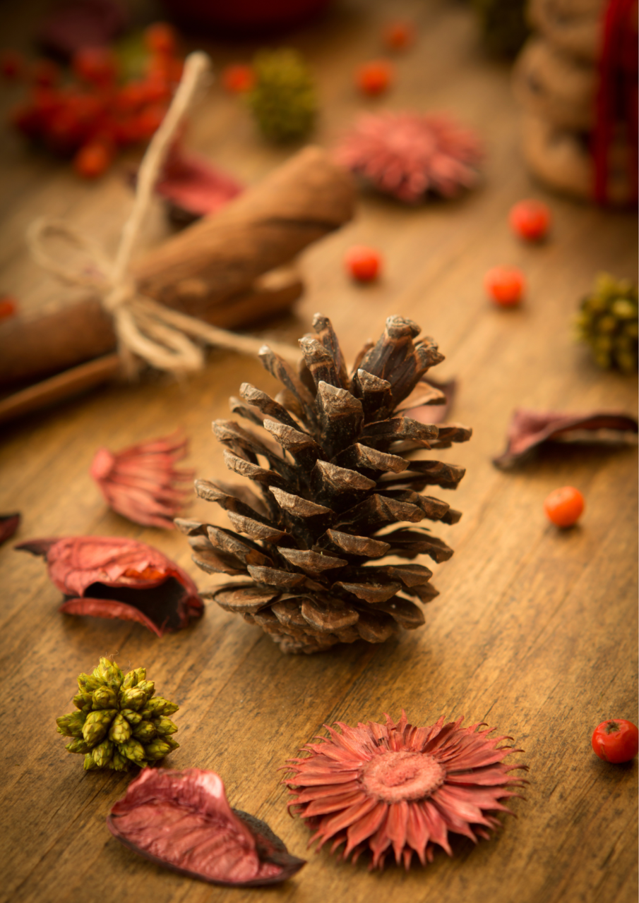 pinecone, flowers, and leaves on a wooden table