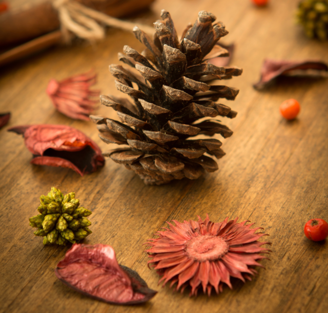 pinecone, flowers, and leaves on a wooden table