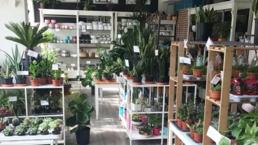 inside of a plant store