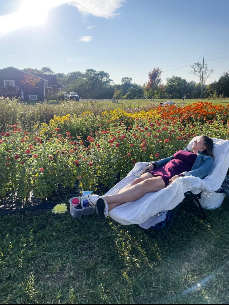 person laying on a chair in a flower field