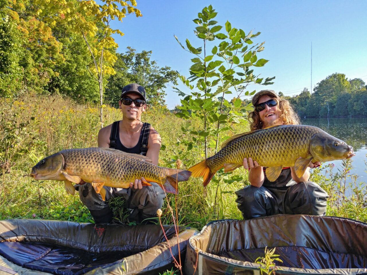 Two people holding large fish (carp)