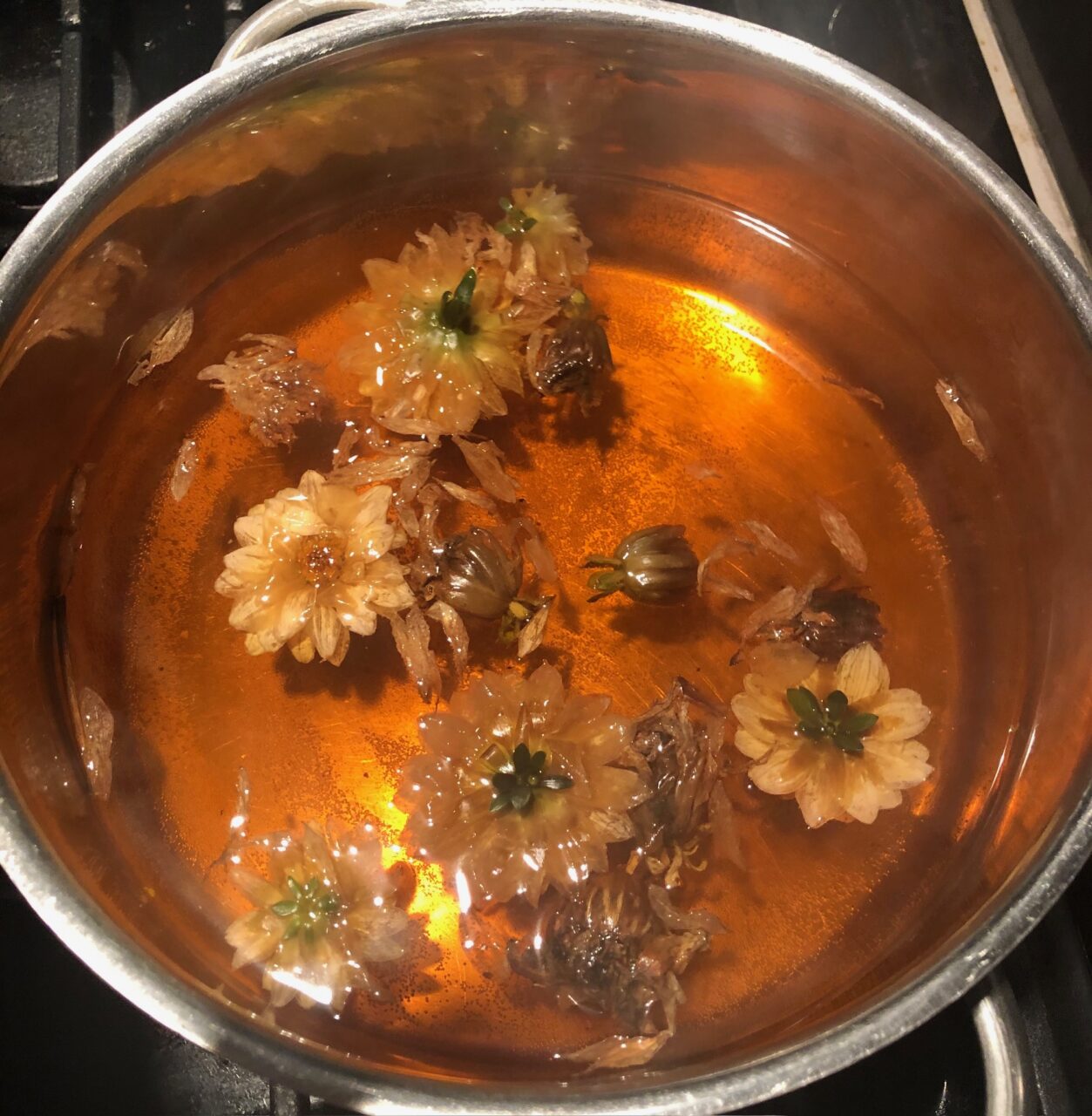 flowers in a pot of water, dyeing the water