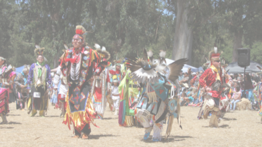 photo from an indigenous pow wow