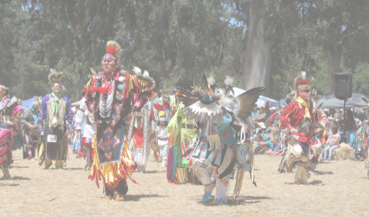 photo from an indigenous pow wow
