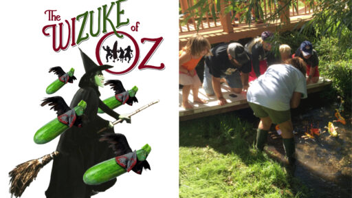 'the wizuke of oz' and people racing zucchini boats