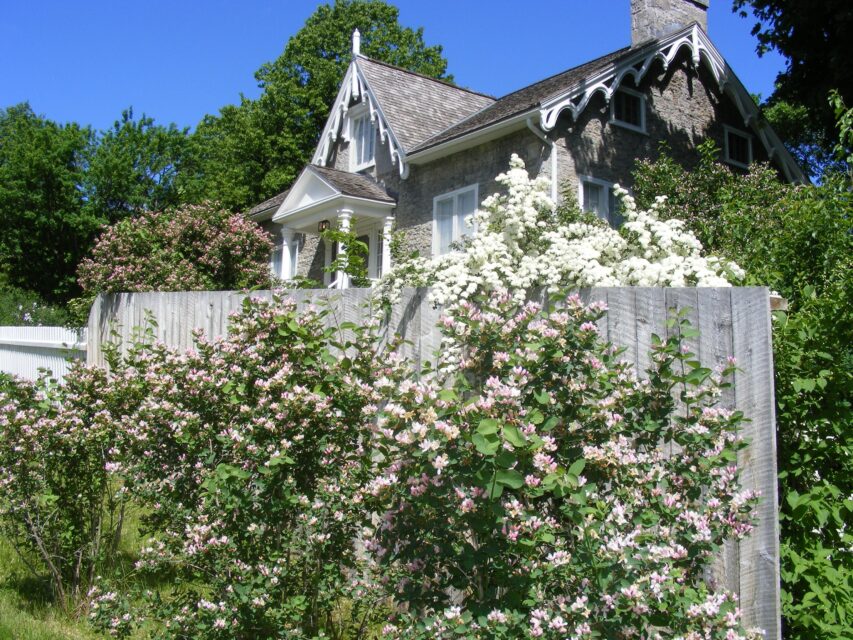 Hutchison House Museum in Peterborough Ontario - limestone cottage with white picket fence with flowers in full bloom.