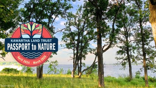 Kawartha land trust passport to nature logo with a background of trees