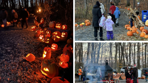 carved pumpkins that are lit at dusk