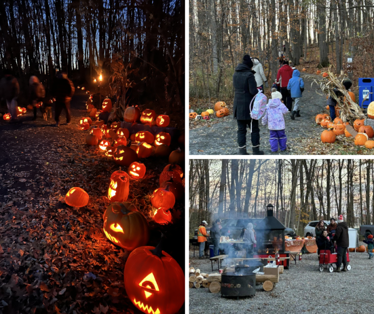 carved pumpkins that are lit at dusk