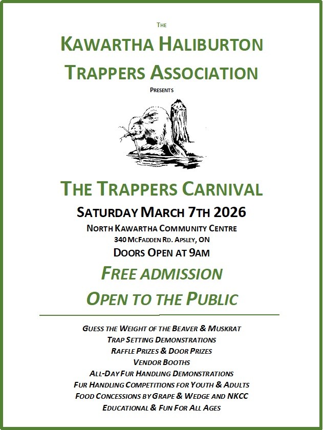 f15f9dfb-8c1c-4d57-a426-e7f7e45d0e0e