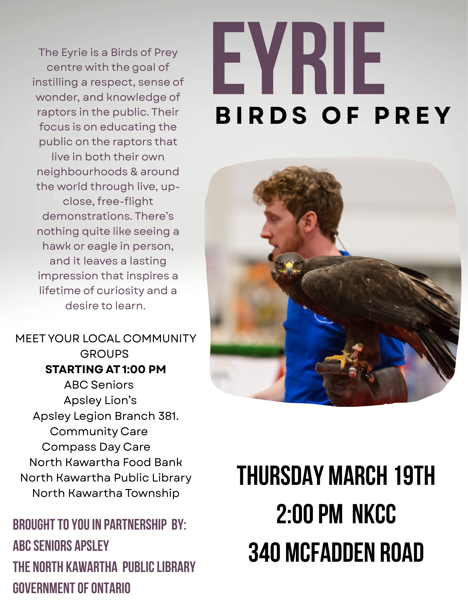 Eyrie Birds Of Prey March Break